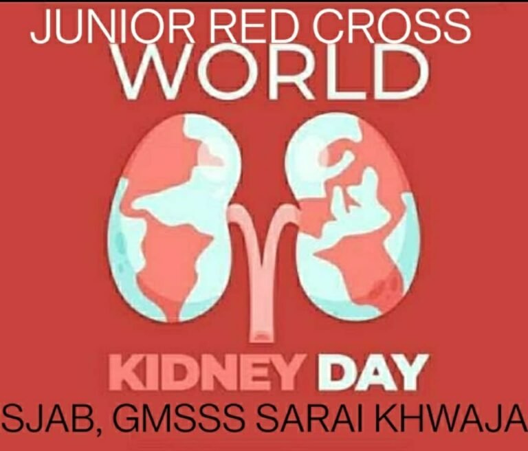 WhatsApp Image 2024-03-13 at 16.04.38_07302c6b