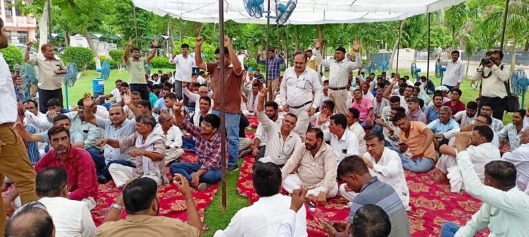 WhatsApp Image 2024-07-30 at 16.00.03_07c6a74f