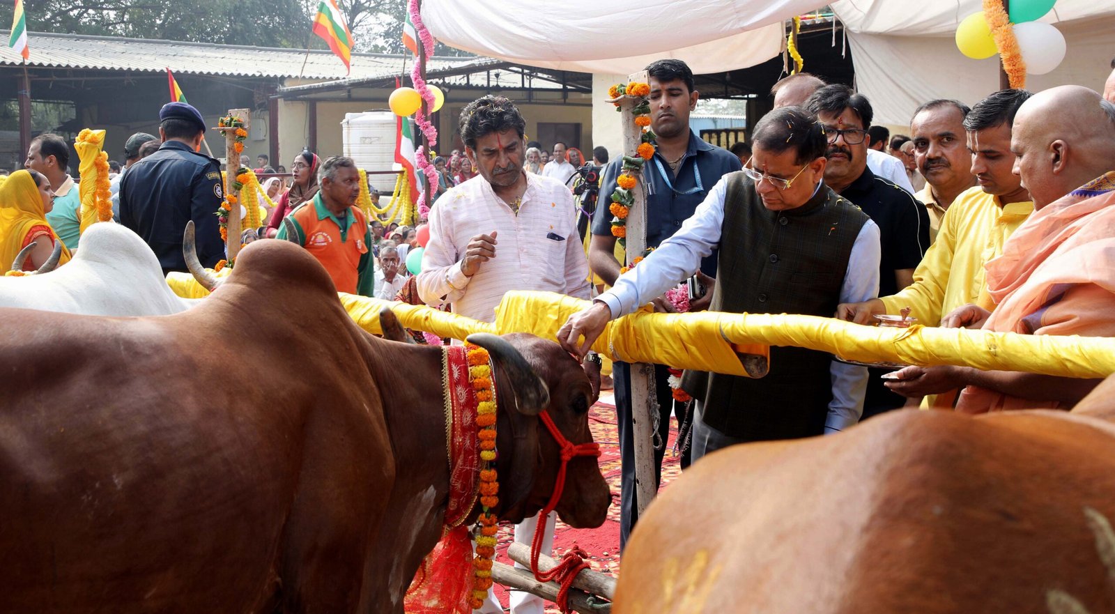 श्री नारायण गौशाला में धूमधाम के साथ मनाया गया श्री गोपाष्टमी पर्व