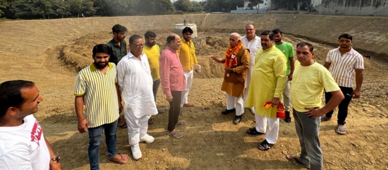 गांव मुजेसर में ऐतिहासिक बाबा हिरदेराम मंदिर के कुंड का जीर्णोधार का कार्य प्रगति पर 