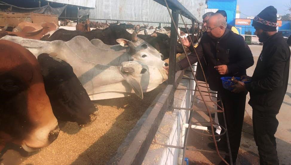 हरियाणा को देश का पहला बेसहारा गौवंश मुक्त राज्य बनाने के लिए सरकार प्रयासरत : श्रवण कुमार गर्ग