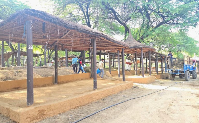 मुख्यमंत्री नायब सिंह करेंगे दिवाली मेले का उद्घाटन,  मीनू ठाकुर, दिपेश राय, सलमान अली और हिमाचल पुलिस बैंड देगा रंगारंग प्रस्तुतियां