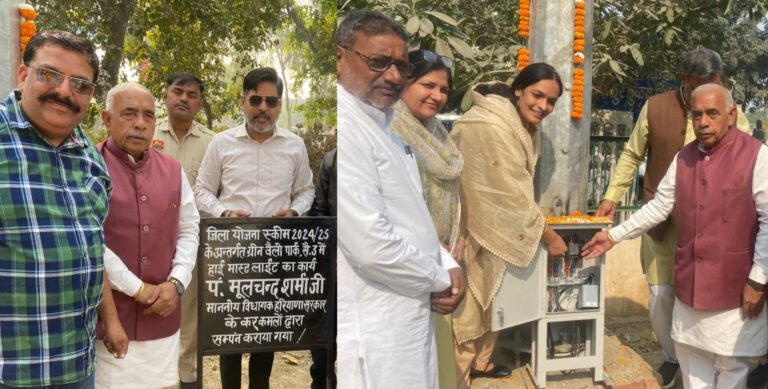 सेक्टर वासियो को 5 बड़ी हाइ मास्क लाइट की सौगात