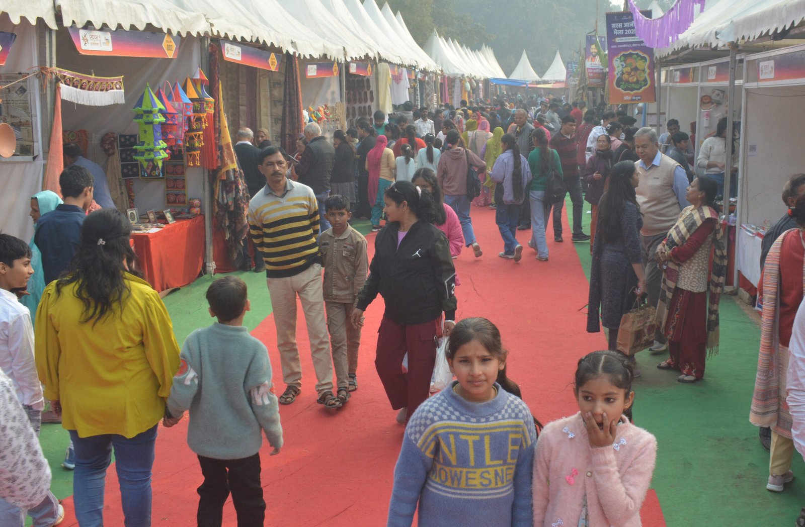 सरस आजीविका मेला : हरियाणा में तमिलनाडु की पारंपरिक कला को मिल रहा नया बाजार, कांचीपुरम साड़ियों को मिल रहा खास आकर्षण