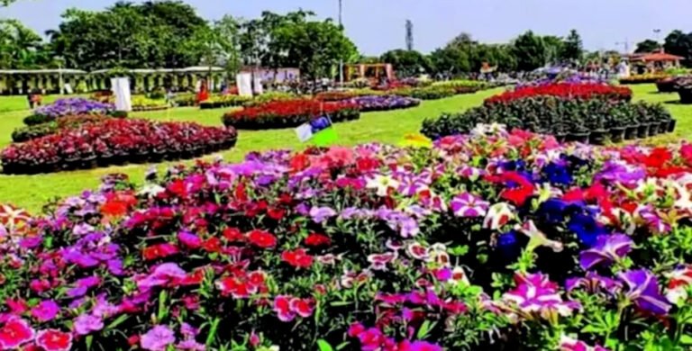 नगर निगम द्वारा मार्च- 2026 में फ्लावर फेस्टिवल का होगा आयोजन, 2018 के बाद हुडा ने पुष्प प्रदर्शनी का आयोजन कर दिया था बंद