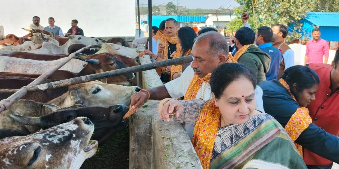 WhatsApp Image 2026-02-15 at 11.37.02