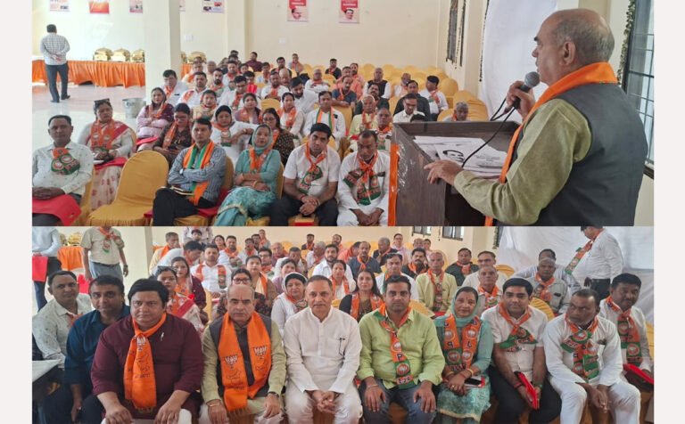 विधायक मूलचंद शर्मा ने छायांसा और बल्लभगढ़ मंडल में पंडित दीनदयाल उपाध्याय प्रशिक्षण महाअभियान के दौरान शिविर में सरकार की उपलब्धियां के बारे में विस्तार से चर्चा की