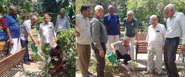 पृथ्वी दिवस के अवसर पर सीनियर सिटीजन सैक्टर- 29 ने किया पौधरोपण।