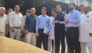Government procurement of wheat begins at Mohana grain market